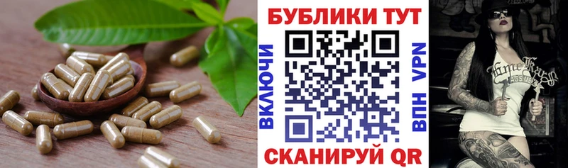 ЭКСТАЗИ XTC блэк спрут зеркало Судогда